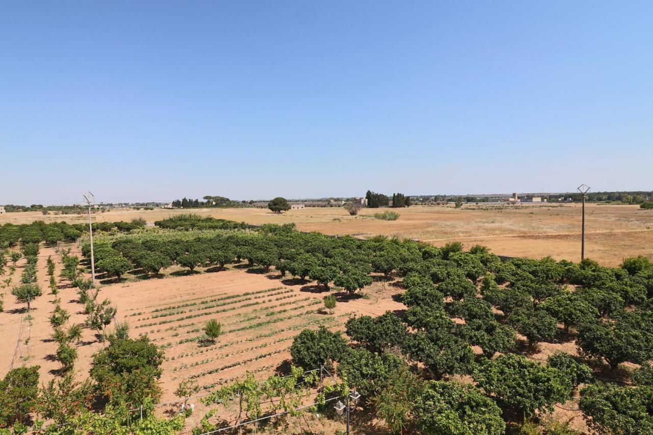 Tenuta Degli Agrumi Carmiano  エクステリア 写真