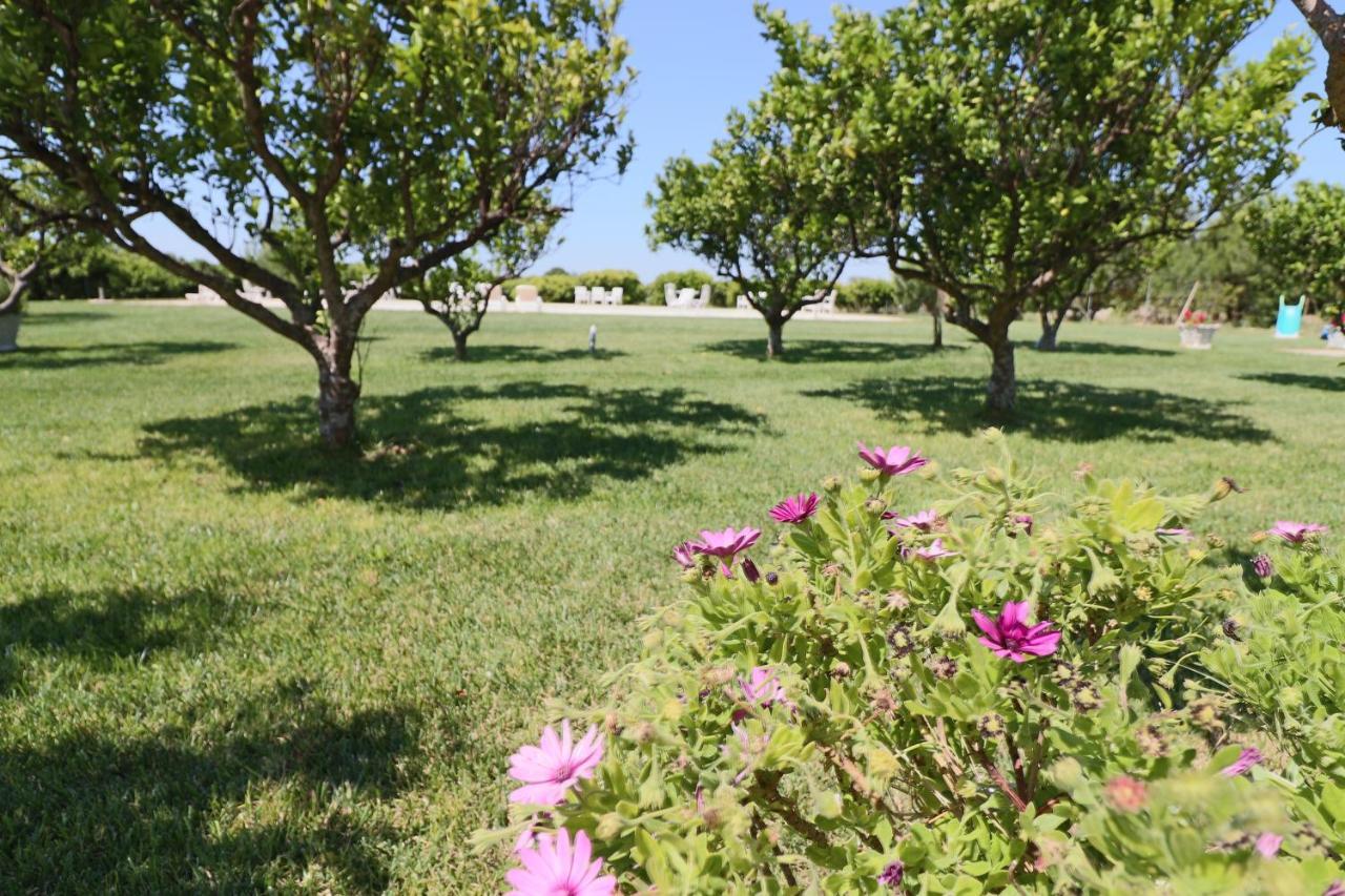 Tenuta Degli Agrumi Carmiano  エクステリア 写真